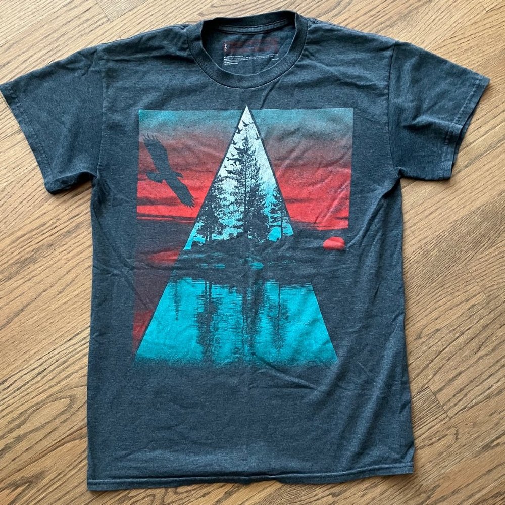 Graphic Hawk Landscape Reflection T-shirt Tony Hawk